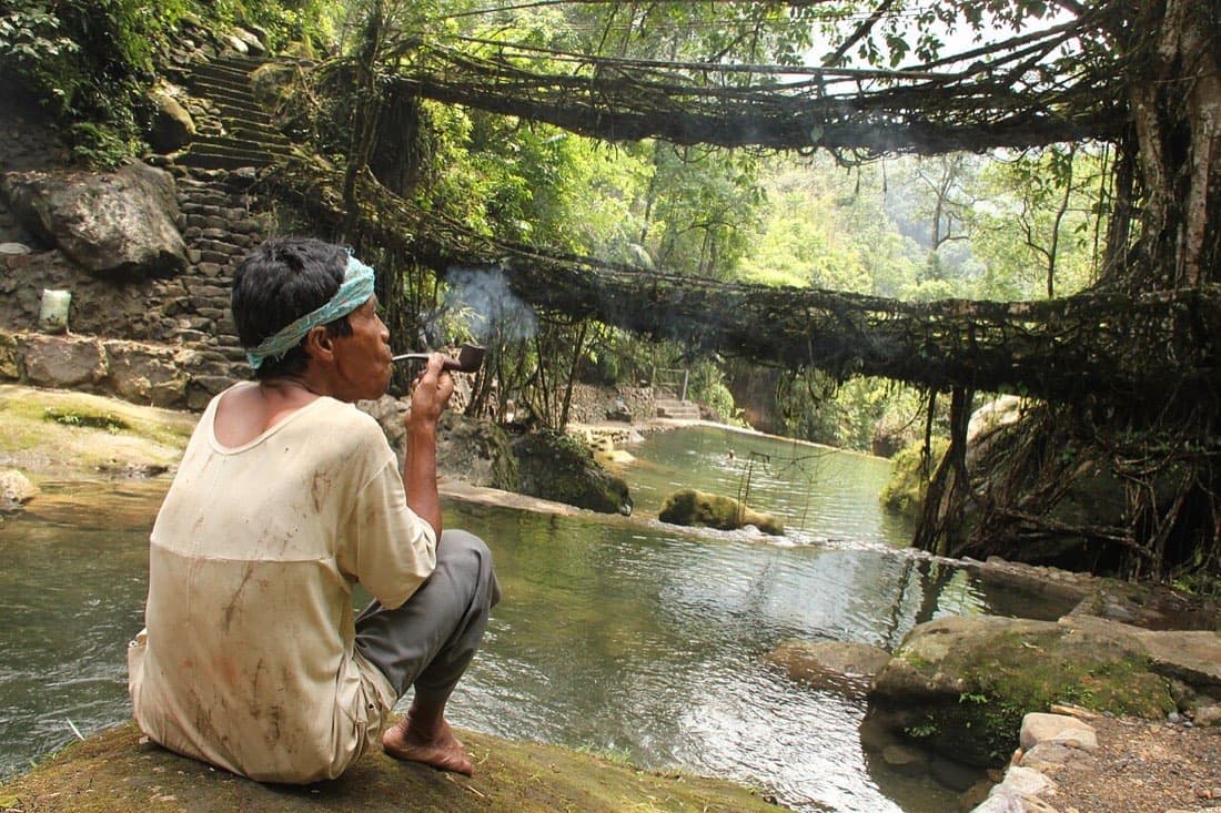 Double Decker Root Bridge Trek